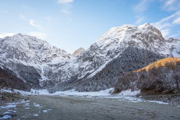 Comment utiliser les graines de lin dans vos recettes ?